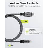 goobay Adaptateur réseau USB-C 3.2 Gen1 vers RJ-45, Carte réseau Noir/Argent, 1 mètre