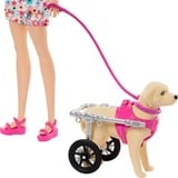 Barbie avec chien duo, Poupée 