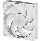 ARCTIC P14 Pro PST ventilateur de boîtier RGB  Blanc, 140 x 140 x 27 mm, PWM