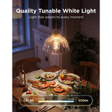 Govee Edison Bulb ST19 E27 (2-pack), Lampe à LED LED, E27, 2 pieces