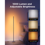 Govee Floor Lamp lite, Lampe Noir