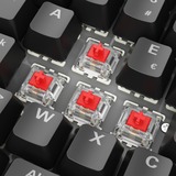 Sharkoon SKILLER SGK50 S2 RGB clavier gaming mécanique Noir, Layout BE (AZERTY), Gateron Red, 96 %, Hot-swappable