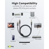 goobay Plus Câble adaptateur audio jack 3,5 mm > 2x cinch stéréo Noir/Argent, 1 mètre