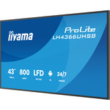 iiyama ProLite LH4366UHSB-B1AG, Affichage public Noir, HDMI, USB-C, LAN, Wi-Fi, Audio, Android