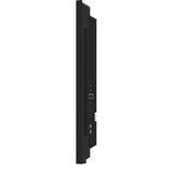 iiyama ProLite LH4366UHSB-B1AG, Affichage public Noir, HDMI, USB-C, LAN, Wi-Fi, Audio, Android