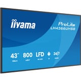 iiyama iiya 43 L LH4366UHSB-B1AG 60Hz 4K VA, Affichage public Noir