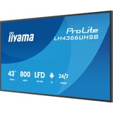 iiyama iiya 43 L LH4366UHSB-B1AG 60Hz 4K VA, Affichage public Noir