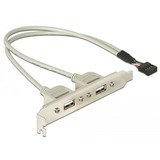 DeLOCK Support d'emplacement, en-tête à 10 broches > 2 x USB-A, Connecteur d'extension Gris, 0,3 mètre