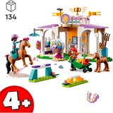 LEGO 41746, Jouets de construction 