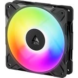 ARCTIC P12 Pro Reverse A-RGB ventilateurs de boîtier Noir, 3 pièces, 120 x 120 x 27 mm, PWM