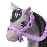 Barbie Family & Friends - Chelsea et Pony, Poupée 