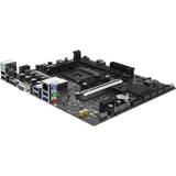 SAPPHIRE A520M-E carte mère socket AM4 RAID, Gb-LAN, Sound, Micro-ATX