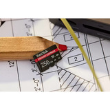 SanDisk microSD Express 256 Go, Carte mémoire Noir, Class 3 (U3)