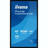 iiyama ProLite T4329AS-B1AG, Affichage public Noir, Tactile, HDMI, USB-C, Audio, LAN, WiFi 5, Android 14