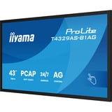 iiyama ProLite T4329AS-B1AG, Affichage public Noir, Tactile, HDMI, USB-C, Audio, LAN, WiFi 5, Android 14