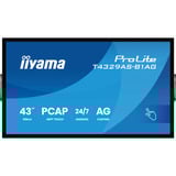 iiyama ProLite T4329AS-B1AG, Affichage public Noir, Tactile, HDMI, USB-C, Audio, LAN, WiFi 5, Android 14