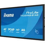 iiyama ProLite T4329AS-B1AG, Affichage public Noir, Tactile, HDMI, USB-C, Audio, LAN, WiFi 5, Android 14