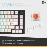 Glorious GMMK PRO Pre-built 75%, clavier gaming Noir, Layout États-Unis, Glorious Fox,  US layout, Glorious Fox, RGB, Hot-Swap