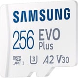 Samsung EVO Plus microSDXC (2024), 256 Go, Carte mémoire Blanc, U3, V30, A2, Adaptateur SD inclus