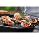 Weber Q 1200, Barbecue Noir