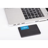 Crucial BX500, 500 GO SSD Noir