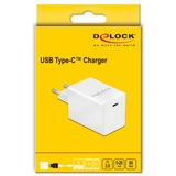 DeLOCK Chargeur USB 1 x USB Type-C PD 3.0 compact 60 W Blanc