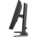 iiyama  23.8" Moniteur gaming  Noir