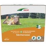 DCM Semences de graminées Plus Drought 2.275 kg, Graines Jusqu'à 65 m²