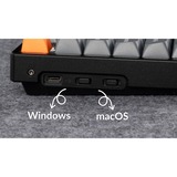 Keychron K8 Max-J4Z RGB clavier mécanique Noir, Layout BE (AZERTY), Keychron Super Banana, 80 % (TKL), Hot-swappable, Bluetooth, 2.4GHz