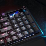 Corsair RGB clavier gaming mécanique Noir, Layout US (QWERTY), Corsair MGX, 96%