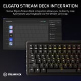 Corsair VANGUARD PRO 96 RGB clavier gaming mécanique Noir, Layout US (QWERTY), Corsair MGX, 96%, QWERTY US, MGX, 96%, RGB, hot-swap