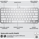 Logitech MX Keys Mini pour Mac Minimalist, clavier Graphite, Mise en page aux États-Unis (international), Bluetooth