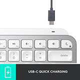 Logitech MX Keys Mini pour Mac Minimalist, clavier Graphite, Mise en page aux États-Unis (international), Bluetooth