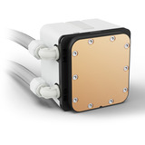 Sharkoon S60 ARGB, Watercooling Blanc, PWM 4 broches