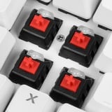Sharkoon SKILLER SGK3, clavier gaming Blanc, Layout États-Unis, Kailh Red
