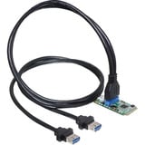 DeLOCK Mini PCIe, Module 