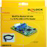DeLOCK Mini PCIe, Module 