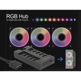 DeLOCK Concentrateur RGo pour LED RGo avec 10 ports, HUB Noir