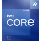 Intel® Core i9-12900, 2,4 GHz (5,1 GHz Turbo Boost) socket 1700 processeur "Alder Lake", processeur en boîte
