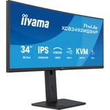 iiyama ProLite XCB3492WQSNP-B1 34" Moniteur UltraWide incurvé Noir, 1x DisplayPort, 2x HDMI, 3x USB-C, 2x USB-A, 1x RJ-45