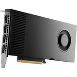 NVIDIA® RTX 4000 Ada 20 GB, Carte graphique En vrac