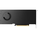 NVIDIA® RTX 4000 Ada 20 GB, Carte graphique En vrac