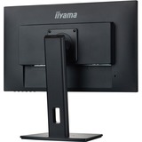 iiyama ProLite XUB2492HSU-B6 23.8" Moniteur  Noir, HDMI, DisplayPort, USB, Audio