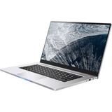 ALTERNATE Intel® NUC Bishop M15 Touch, 15.6" 15.6" pc portable 1 To | Xe Graphics | Win 10 pro