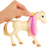Barbie Groom 'n Care Playset, Poupée 
