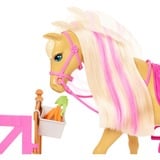 Barbie Groom 'n Care Playset, Poupée 