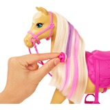 Barbie Groom 'n Care Playset, Poupée 