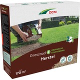 DCM Semences de gazon Plus Recovery 2.55 kg, Graines Jusqu'à 170 m²