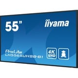 iiyama ProLite LH5565UHSB-B1, Affichage public Noir, HDMI, DisplayPort, LAN, WiFi, Audio, USB, Android