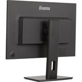 iiyama  24.1" Moniteur  Noir